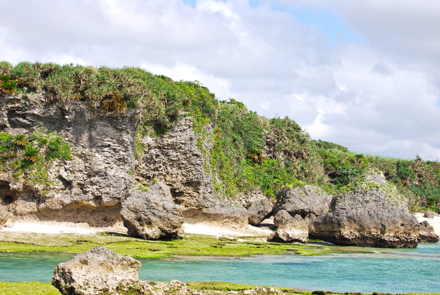 琉球石灰岩と海