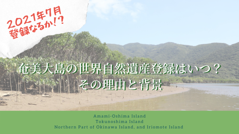 奄美大島の世界自然遺産登録はいつ？その理由と背景