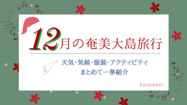 【12月の奄美大島】気温・天気・服装・おすすめ観光スポットを全部解説