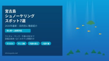 【2026年最新】宮古島シュノーケリングスポット7選！初心者〜上級者まで目的別に紹介